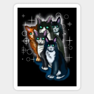 Dare to be different cats Magnet